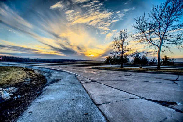 Weitwinkelaufnahme Mehrerer Bäume Auf Der Straße Bei Sonnenuntergang — Stockfoto