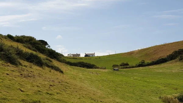青い空の下遠くに家がある丘の上の緑のフィールドの美しいショット — ストック写真