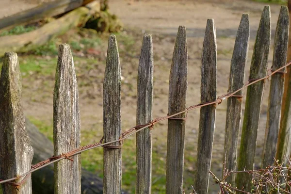 Plusieurs Morceaux Bois Les Uns Côté Des Autres Formant Une — Photo