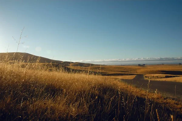Łąka Pokryta Trawą Otoczona Drogą Pod Słońcem Błękitnym Niebem — Zdjęcie stockowe
