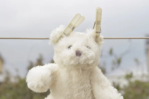 Ένα Λευκό Χαριτωμένο Αρκουδάκι Στη Γραμμή Πλυσίματος — Φωτογραφία Αρχείου