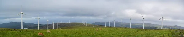 Una Vista Panorámica Las Colinas Cubiertas Vegetación Molinos Viento Bajo —  Fotos de Stock