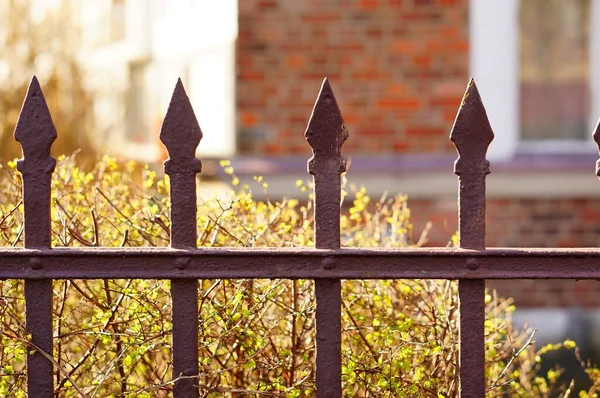 Tiro Close Uma Cerca Metal Com Fundo Desfocado — Fotografia de Stock