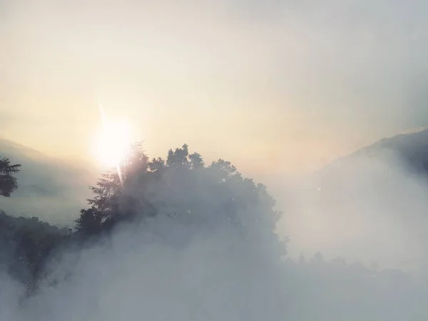 Die Schöne Aussicht Auf Die Bäume Und Berge Einem Nebligen — Stockfoto