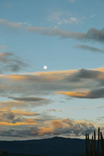 Вертикальный Снимок Прекрасной Луны Облачным Небом — стоковое фото