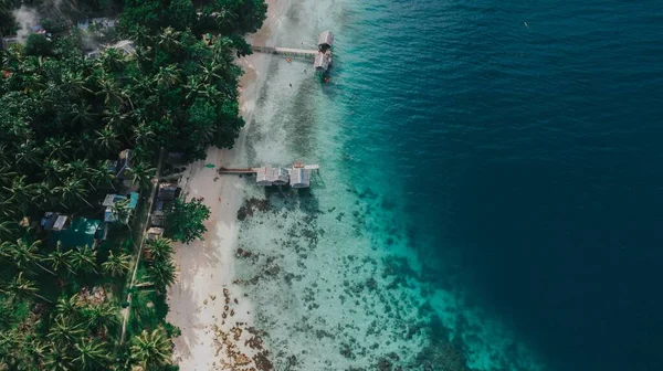 Oceaan Het Strand Bedekt Met Bomen Vegetatie — Stockfoto