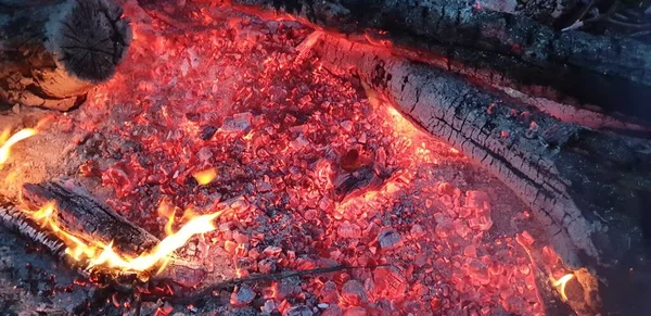 Nahaufnahme Eines Brennenden Astes Aus Holz — Stockfoto