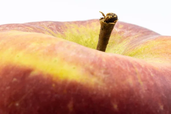 Gros Plan Tige Une Pomme Fraîche Mûre Isolée Sur Fond — Photo