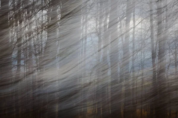 Ett Suddigt Abstrakt Foto Vårvindar Som Blåser Genom Träd Taget — Stockfoto