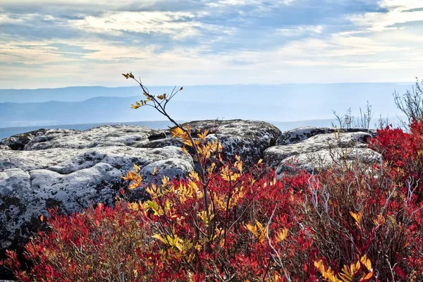 Neobvyklá Pískovcová Skalní Formace Bear Rocks Překrásné Ohnivě Červené Divoké — Stock fotografie