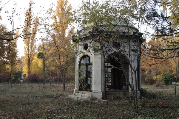 Ağaçlarla Çevrili Bir Parkta Inşa Edilmiş Dairesel Bir Bina — Stok fotoğraf