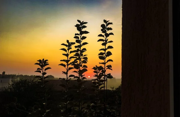 Une Vue Imprenable Sur Coucher Soleil Des Silhouettes — Photo