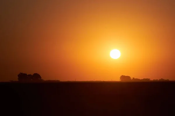 Silhuett Ett Fält Med Solen Skiner Den Röda Himlen Perfekt — Stockfoto
