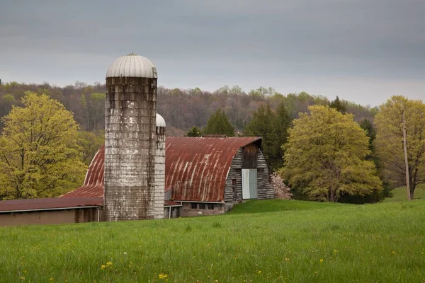 Pennsylvania Ilkbaharın Başlarında Ağaçlar Yeşil Tarlalarla Çevrili Eski Bir Ahır — Stok fotoğraf