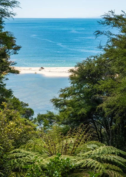 Costa Con Mare Azzurro Una Spiaggia Sabbiosa Una Foresta — Foto Stock