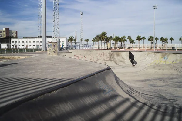 Una Persona Patinando Skatepark Rodeado Palmeras Bajo Luz Del Sol — Foto de Stock