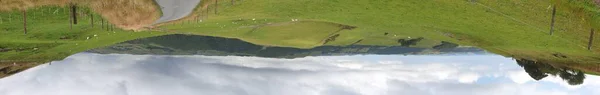 青い空の下の背景に丘のあるフィールドのパノラマショット — ストック写真