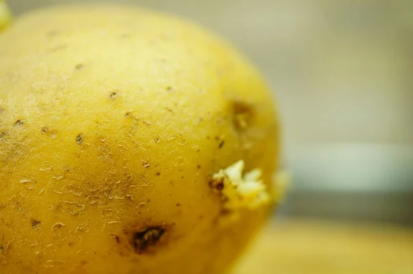 背景模糊的土豆特写镜头 — 图库照片