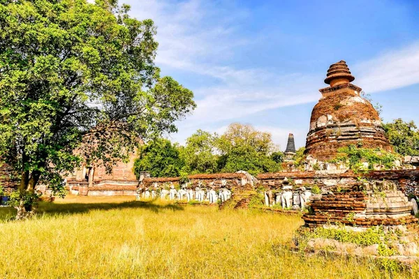 Belo Tiro Templo Campo Gramado Seco Durante Dia Tailândia — Fotografia de Stock