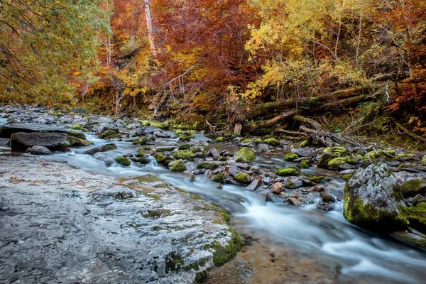 秋天的河岸 长满五彩缤纷的树木 — 图库照片
