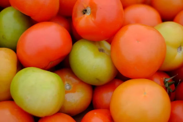 Ένα Κοντινό Πλάνο Πολλές Κόκκινες Και Πράσινες Ντομάτες — Φωτογραφία Αρχείου