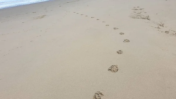 Uma Bela Foto Praia Areia Com Pegadas Por Toda Parte — Fotografia de Stock