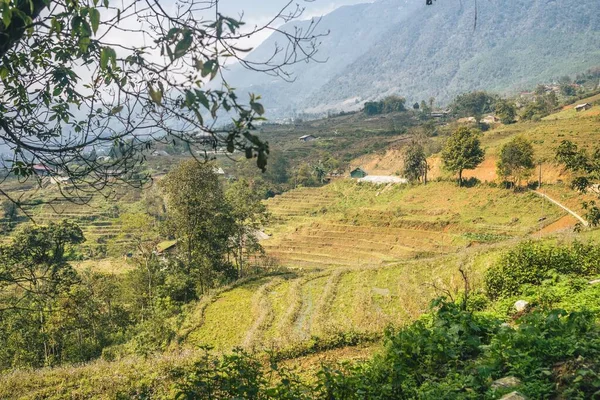 Vietnam Feb 2020 Beautiful Landscape Lao Cai Vietnam — стокове фото