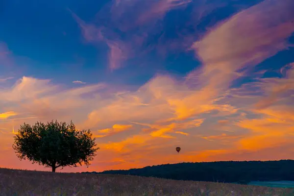 Een Brede Hoek Opname Van Een Boom Onder Een Bewolkte — Stockfoto