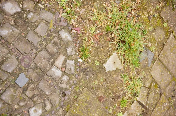 Lovitură Unghiulară Câteva Bucăți Iarbă Terenul Piatră — Fotografie, imagine de stoc