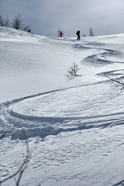 Tiro Vertical Uma Montanha Florestada Coberta Neve Col Lombarde Isola — Fotografia de Stock