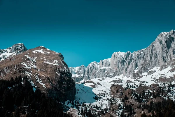 Eine Schöne Aufnahme Des Kiefernwaldes Schneebedeckten Gebirge Mit Einem Klaren — Stockfoto