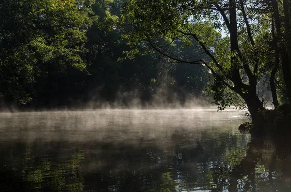 Der Magische Morgen Mit Nebel Über Dem See Und Sonnenschein — Stockfoto