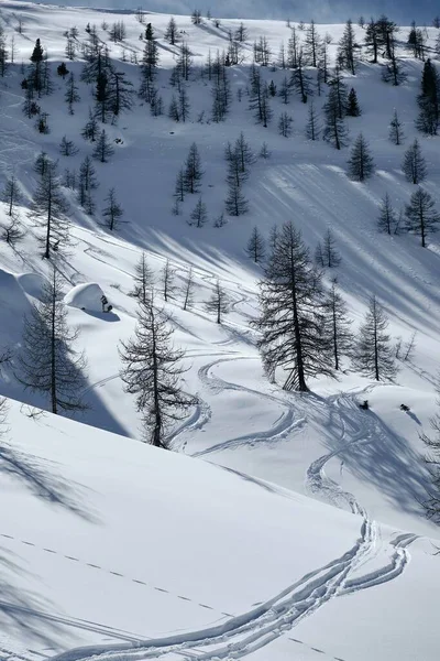 Disparo Vertical Una Montaña Boscosa Cubierta Nieve Col Lombarde Isola — Foto de Stock