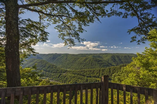 Een Landschap Van Heuvels Bedekt Met Bossen Onder Het Zonlicht — Stockfoto