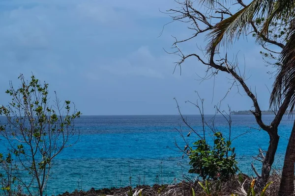 Ein Schöner Blick Auf Einen Ozean Der Küste — Stockfoto