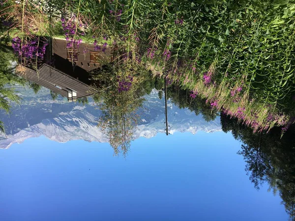 Egyetlen Kunyhó Mezőn Lila Levendulavirágokkal Magas Sziklás Hegyekkel Háttérben — Stock Fotó