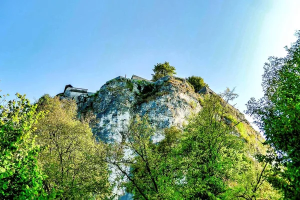 Schöne Aufnahme Eines Berges Mit Bäumen Unter Blauem Himmel Slowenien — Stockfoto