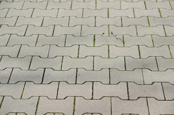 パターンを持つ石畳の地面 — ストック写真