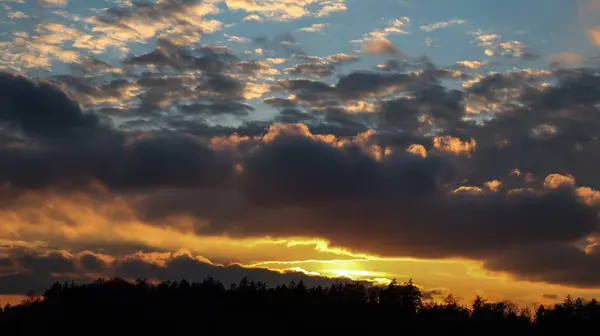 Les Silhouettes Des Arbres Sous Ciel Nuageux Pendant Coucher Soleil — Photo