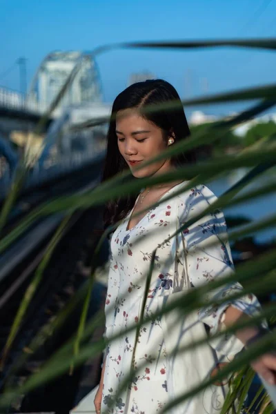 Siyah Saçlı Vietnamlı Bir Kız Bir Köprünün Üzerinde Bir Ağacın — Stok fotoğraf
