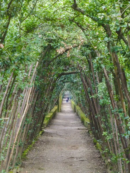 Eine Schöne Vertikale Aufnahme Eines Weges Einem Garten Florenz Italien — Stockfoto