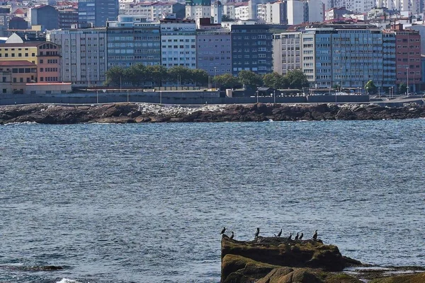 Egy Gyönyörű Kép Épületek Távolban Coruna Galícia Spanyolország — Stock Fotó