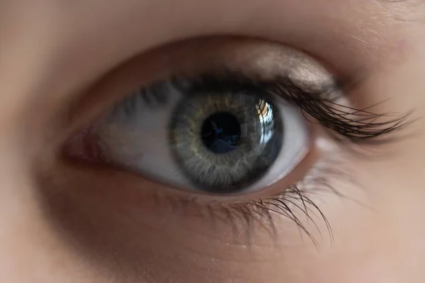 ライトの下の灰色の人間の目のマクロ画像 — ストック写真