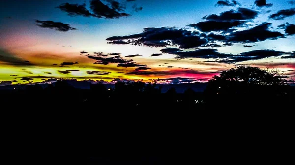 Uno Splendido Scenario Alberi Sotto Cielo Nuvoloso Colorato Notte — Foto Stock
