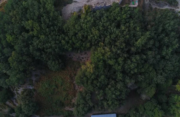 Una Toma Aérea Bosque — Foto de Stock