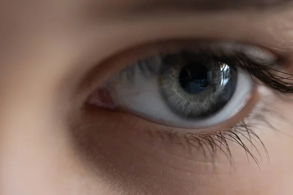 ライトの下の灰色の人間の目のマクロ画像 — ストック写真