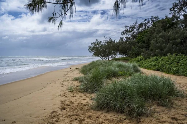 Foto Praia Ondas Sunshine Coast Queensland Austrália — Fotografia de Stock