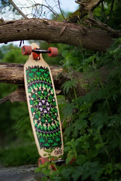 Вертикальный Снимок Зеленого Скейтборда Рядом Веткой Дерева — стоковое фото