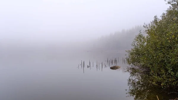 在乌云密布的天空下 一个雾蒙蒙的湖中的美丽风景 — 图库照片