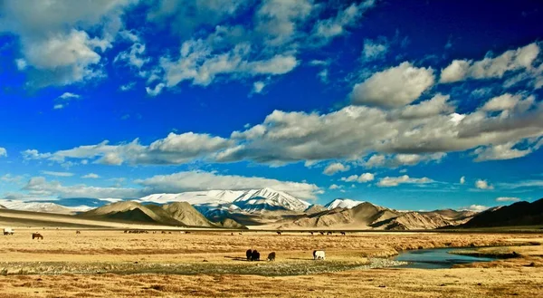 Eine Weitwinkelaufnahme Einer Großen Landschaft Unter Einem Himmel Voller Wolken — Stockfoto